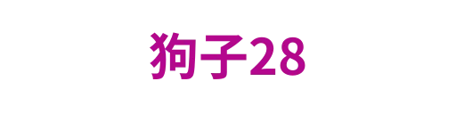 狗子28