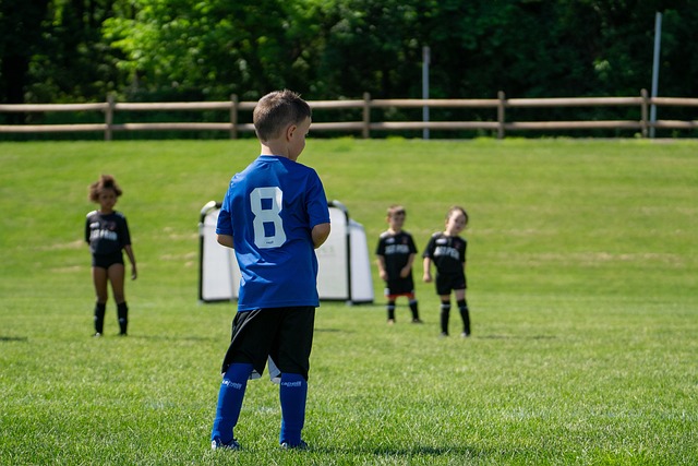 蔡琳在网上 蔡琳在网上