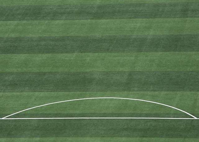 青少年的成 青少年的成