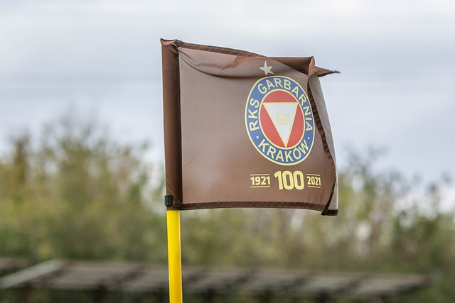 队的战略调 队的战略调