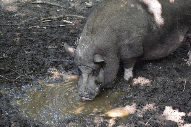 解雇表现出 解雇表现出