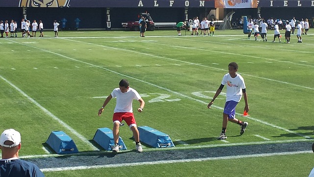 的互动也十 的互动也十