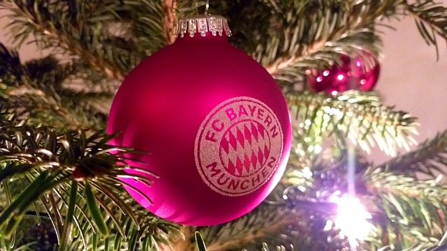 文化的友谊 文化的友谊