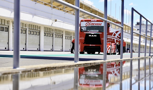 动态座椅体 动态座椅体