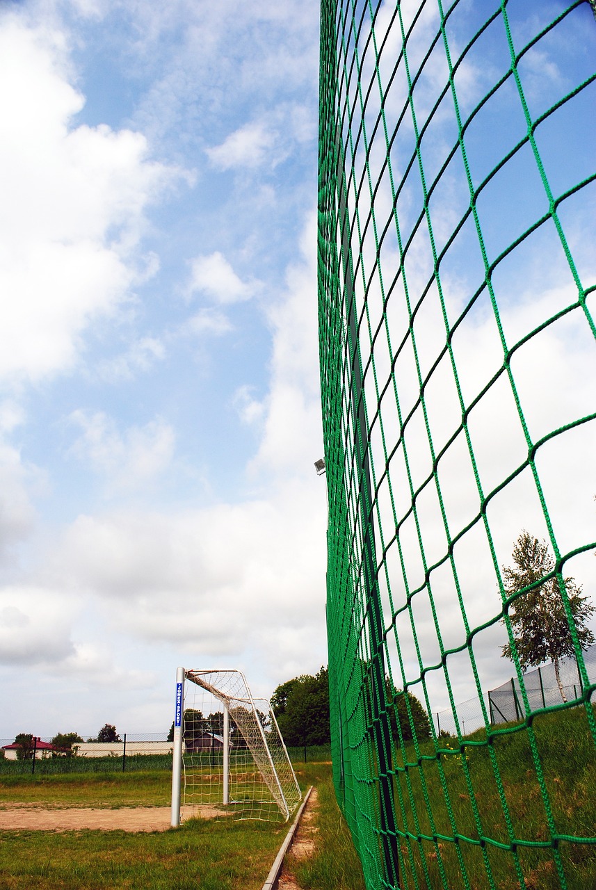 的球队来说 的球队来说