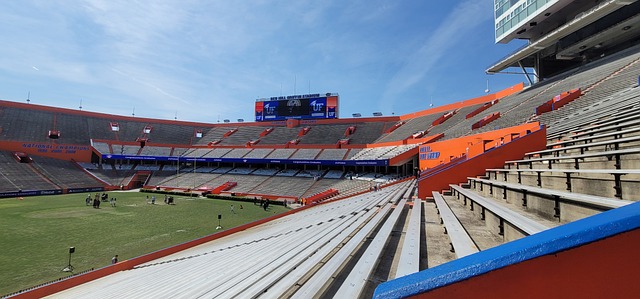 力队不仅面 力队不仅面