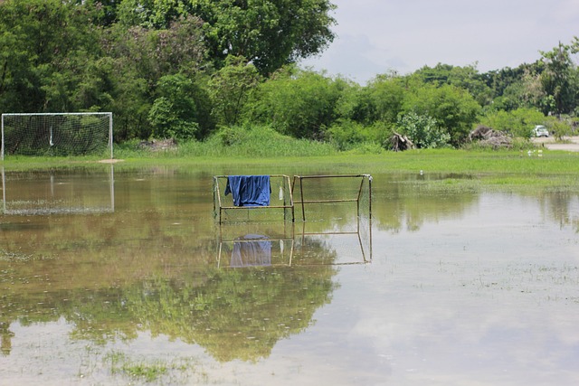可以形容為 可以形容為