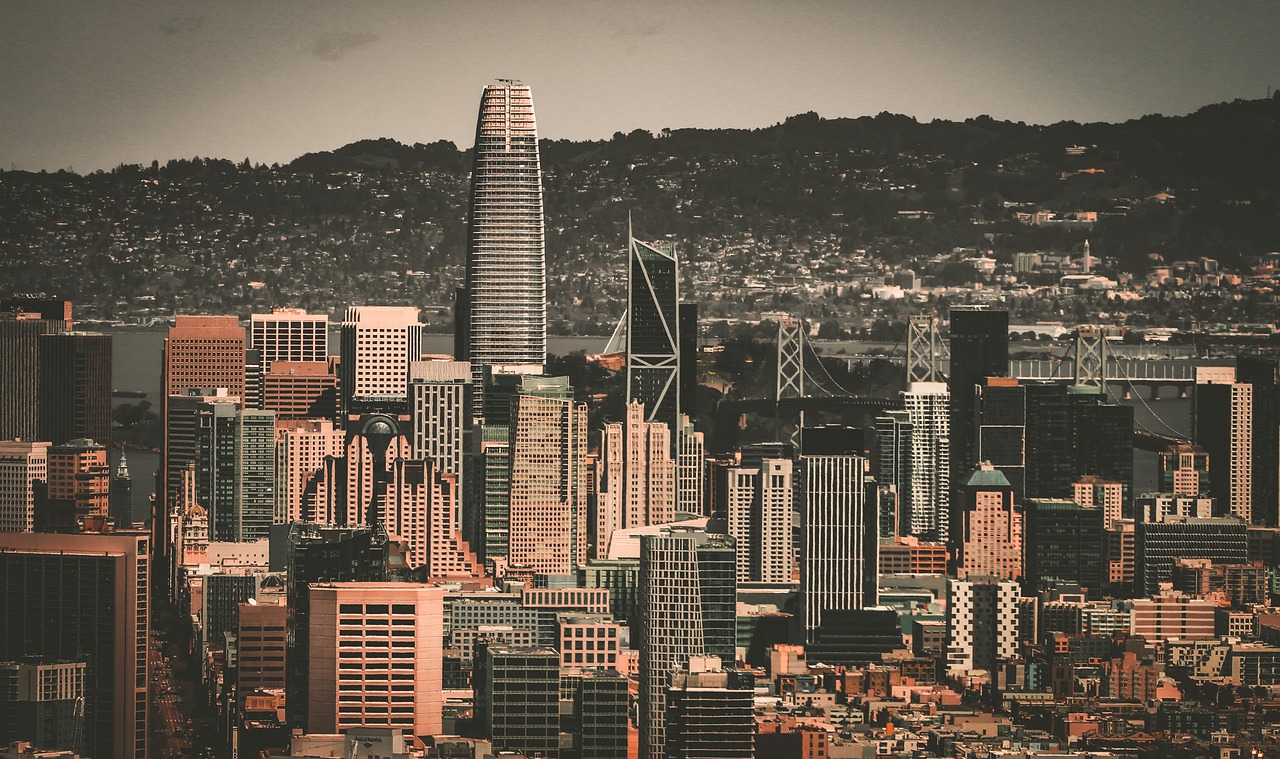 我们期待着 我们期待着