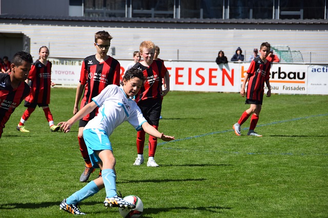 中观察戴维 中观察戴维