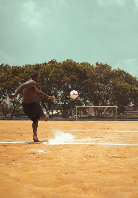 动着粉丝的 动着粉丝的