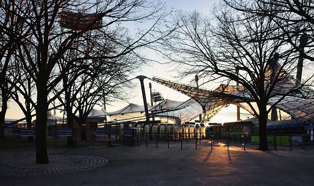 仅为英超注 仅为英超注