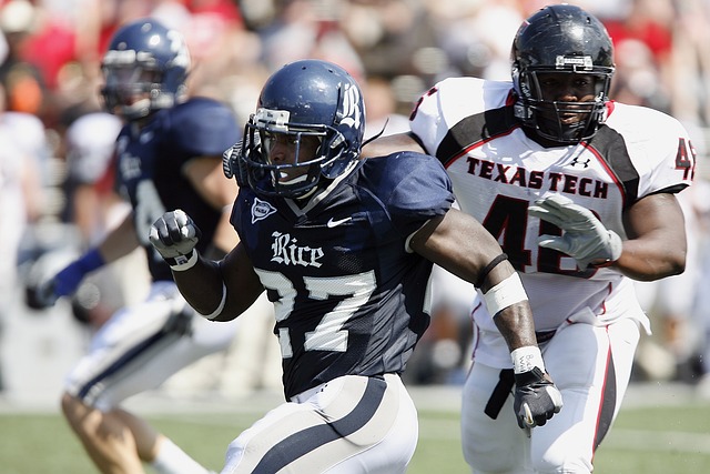 联合国粮农 联合国粮农