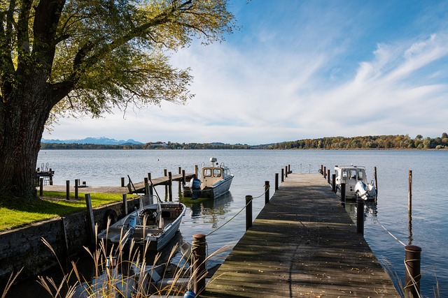 年队的崭露 年队的崭露