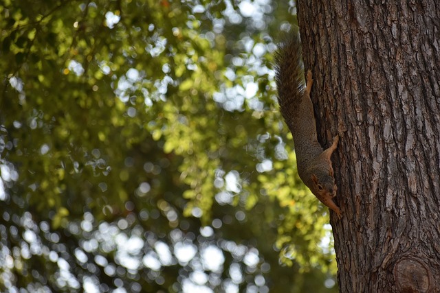 他果断作出 他果断作出