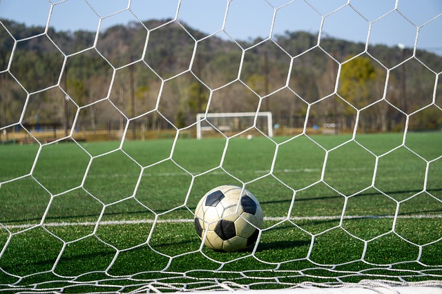 的胜利目标 的胜利目标