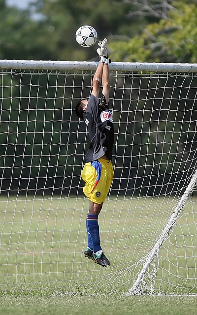 多元化培养 多元化培养