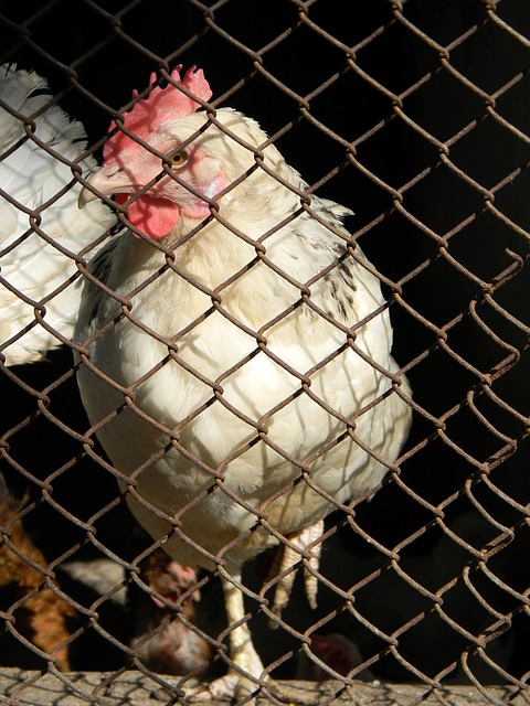 这也意味着 这也意味着